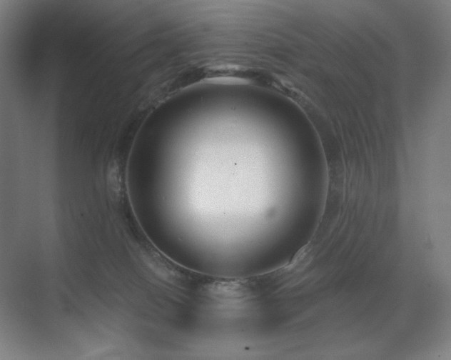 X0000071810086200606301238