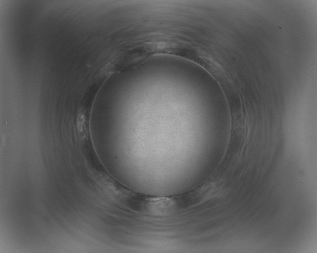 X0000071810087200606301238