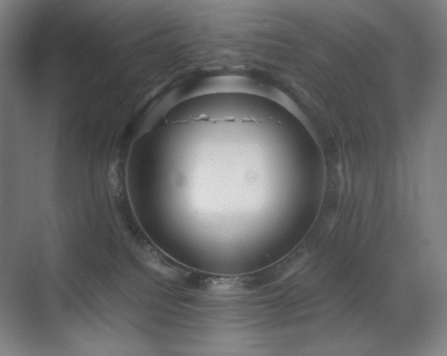 X0000071810088200606301238