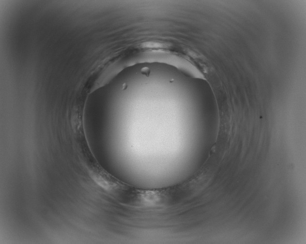 X0000071810091200606301238