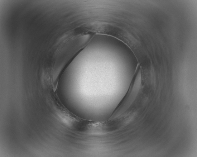 X0000071810092200606301238