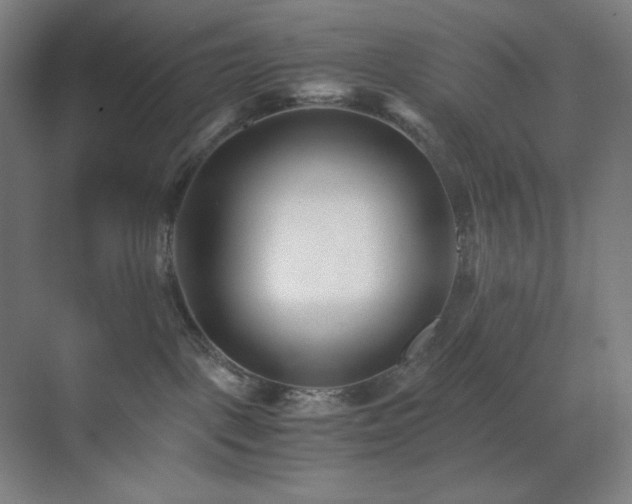 X0000071810093200606301238