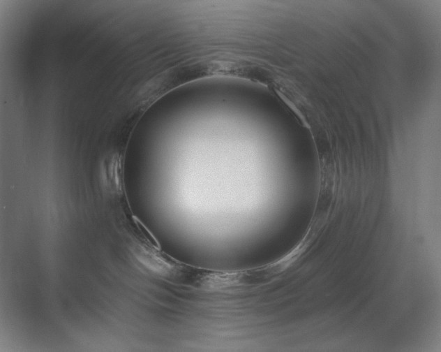 X0000071810094200606301238