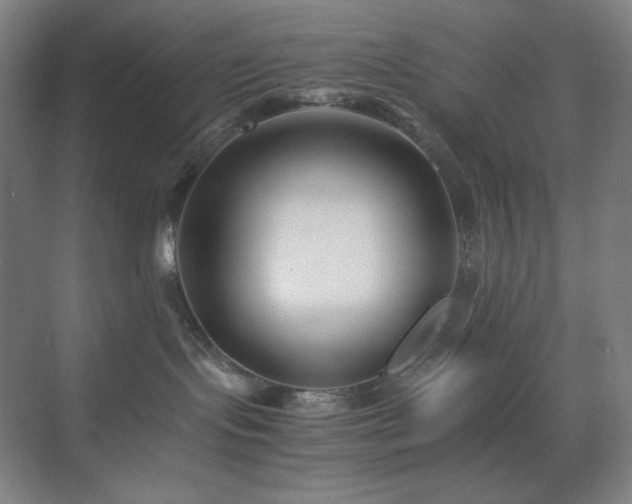 X0000071810095200606301238