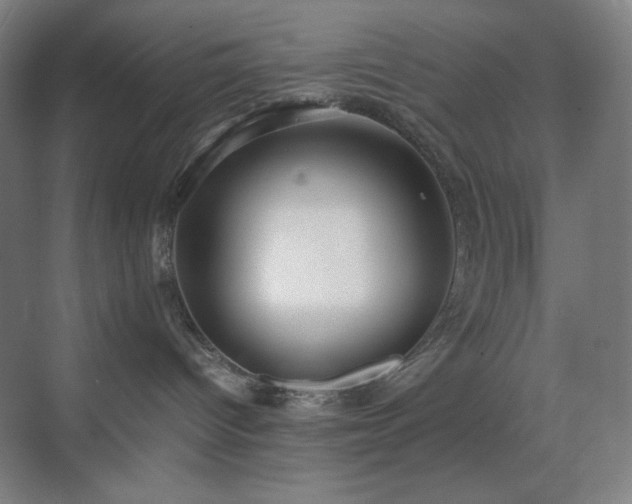 X0000071810096200606301238