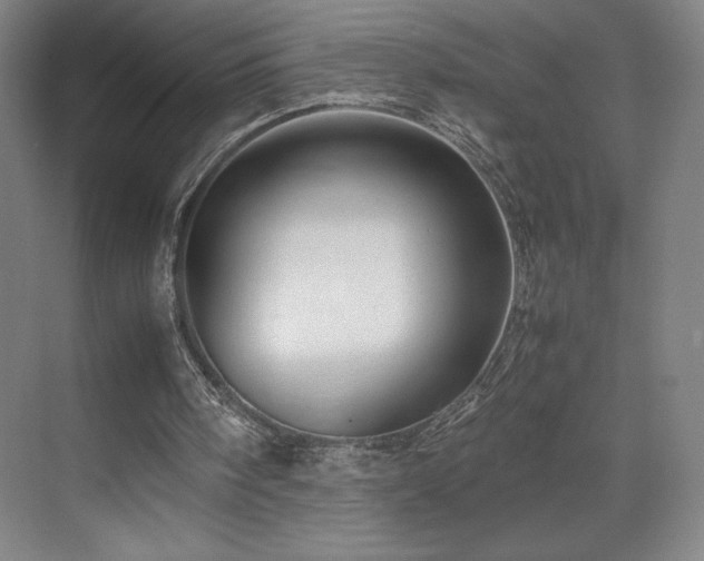 X0000071810098200606301237