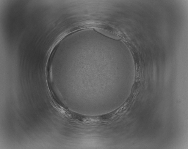 X0000071810099200606301237