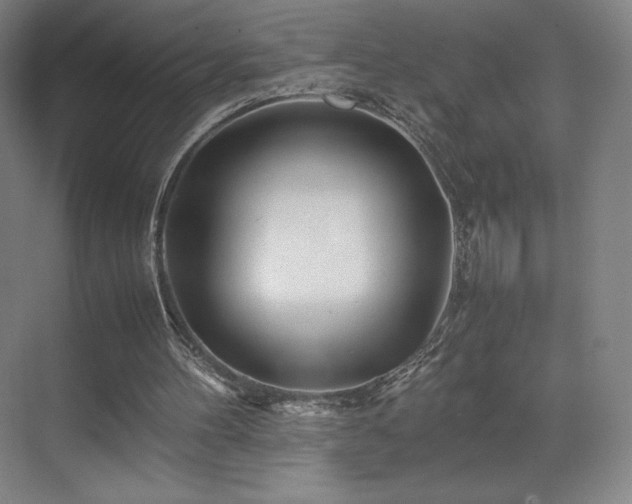 X0000071810100200606301237