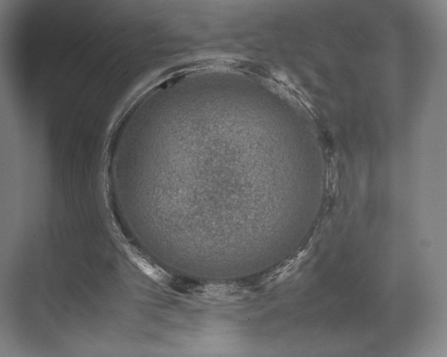 X0000071810101200606301237