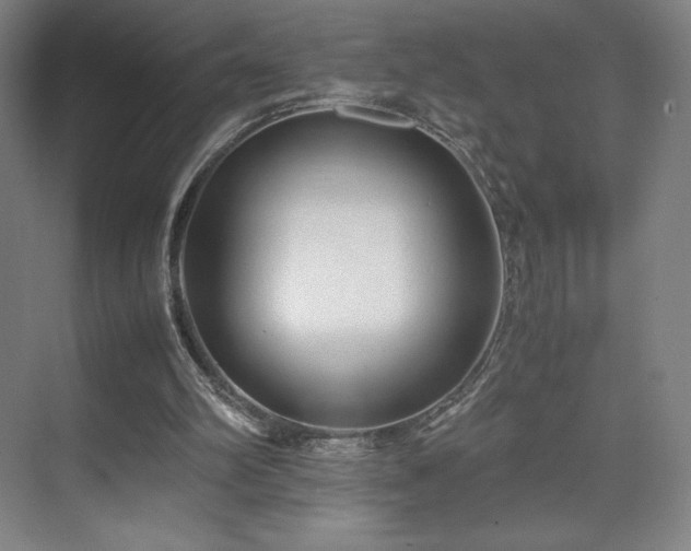 X0000071810102200606301237