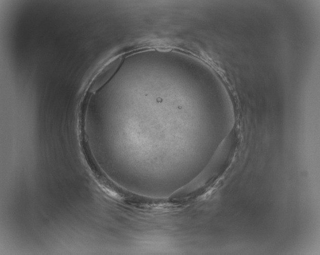 X0000071810103200606301237