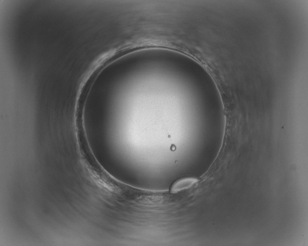 X0000071810104200606301237