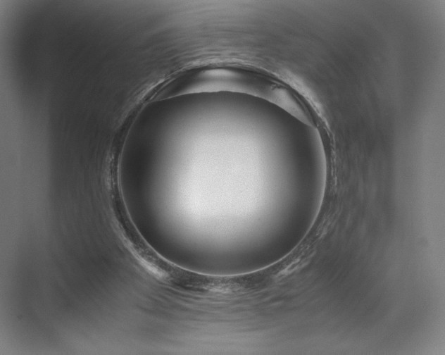 X0000071810105200606301237