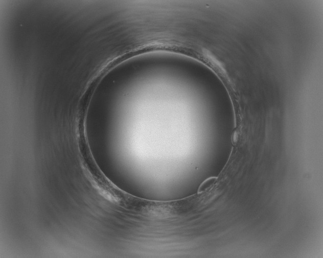 X0000071810106200606301237