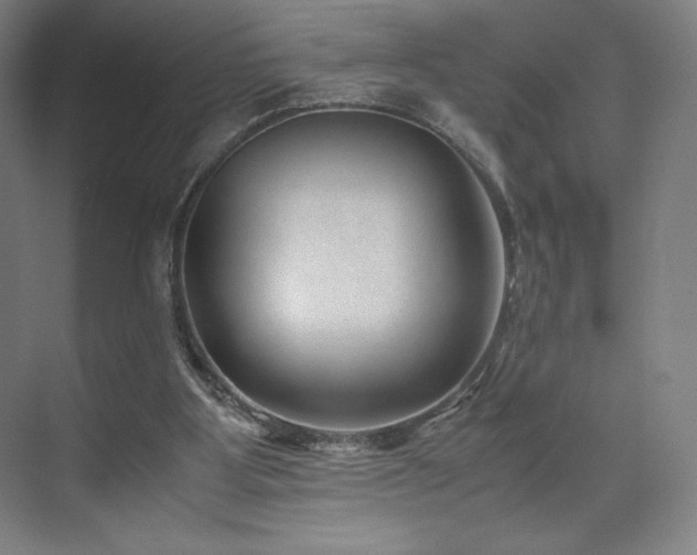 X0000071810107200606301237