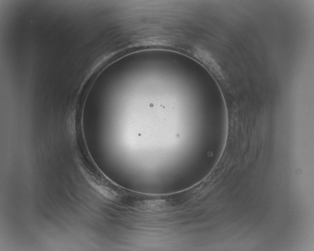 X0000071810108200606301237