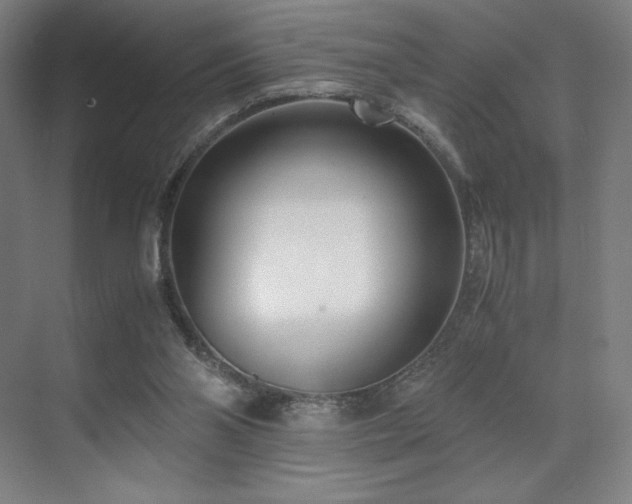 X0000071810110200606301237