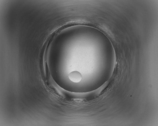 X0000071810111200606301237