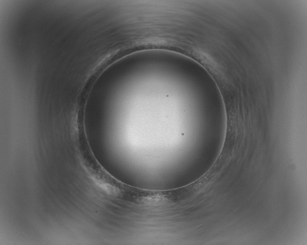 X0000071810112200606301237