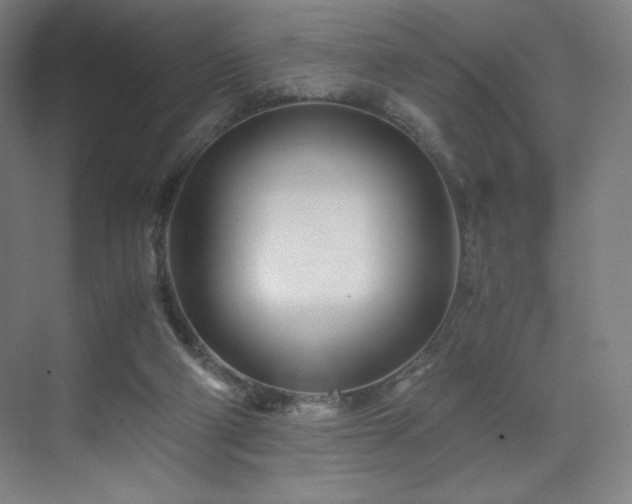 X0000071810114200606301237