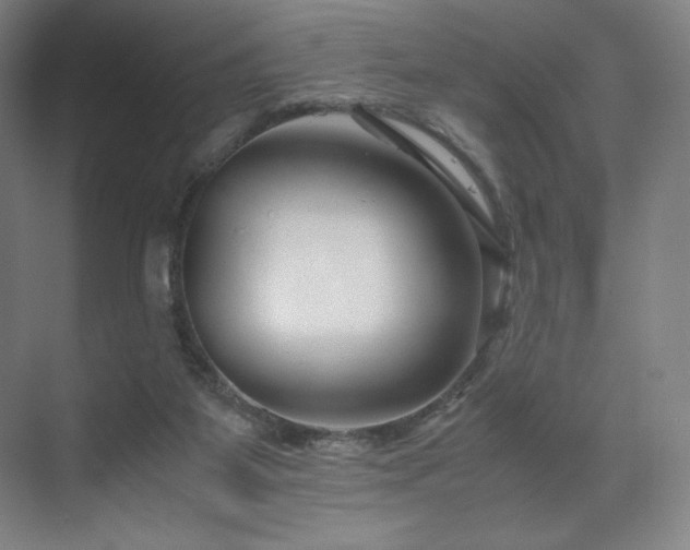 X0000071810115200606301237