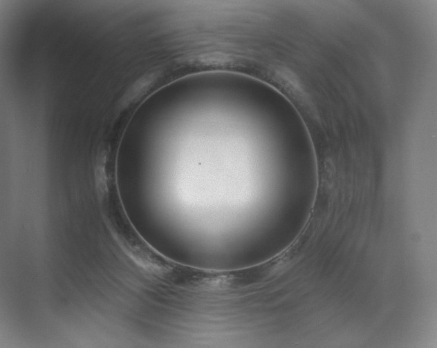 X0000071810116200606301237