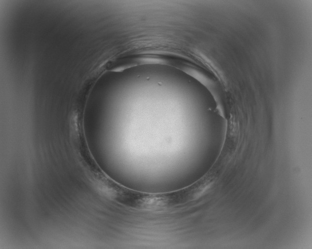 X0000071810117200606301237