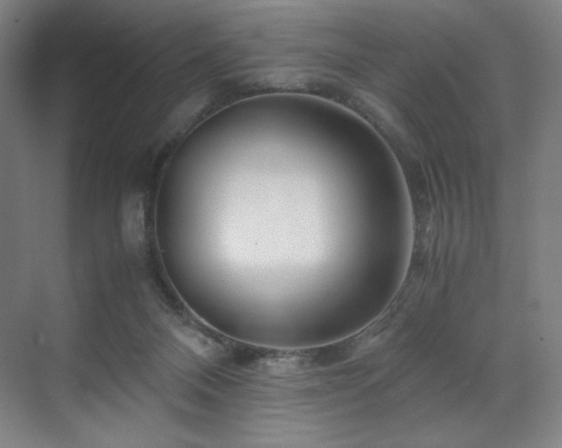 X0000071810120200606301237