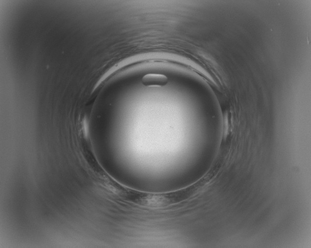 X0000071810121200606301237