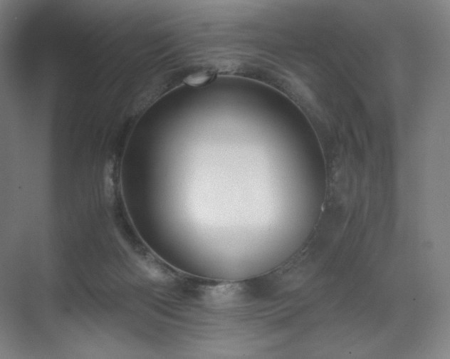 X0000071810122200606301237