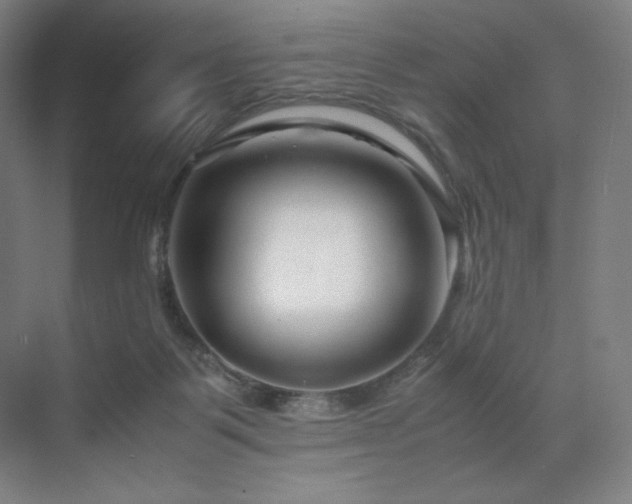 X0000071810123200606301237