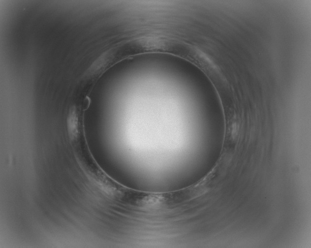 X0000071810124200606301237