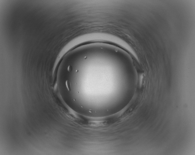 X0000071810125200606301237