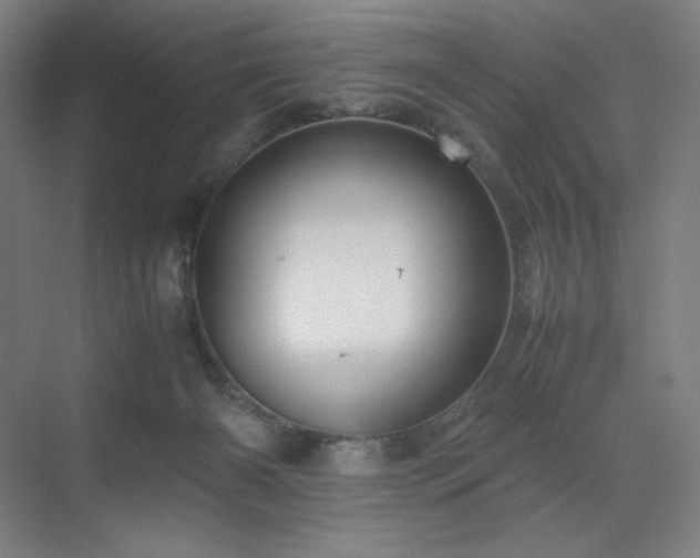 X0000071810126200606301237