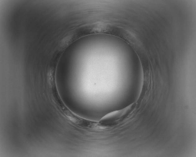 X0000071810127200606301237