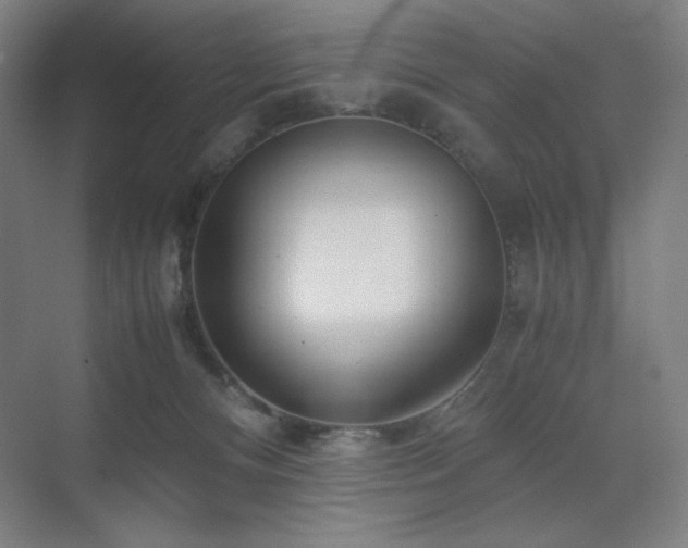 X0000071810128200606301237