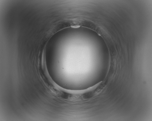 X0000071810129200606301237