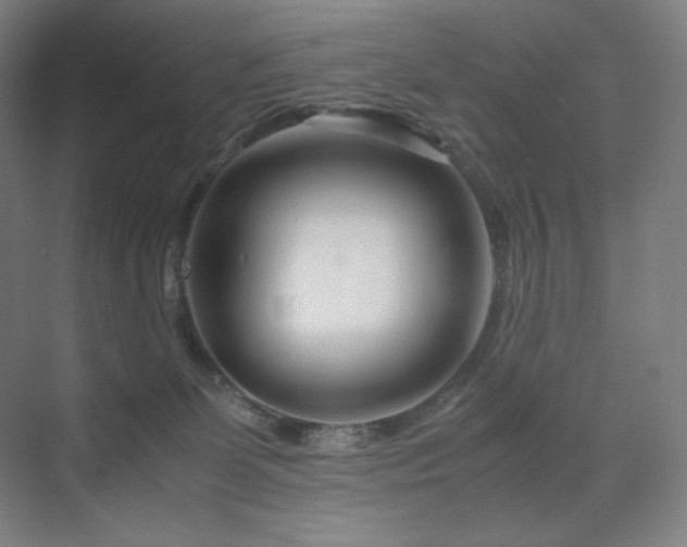 X0000071810131200606301237