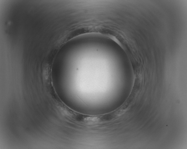 X0000071810133200606301237