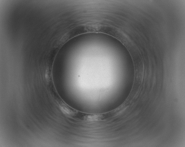 X0000071810134200606301237