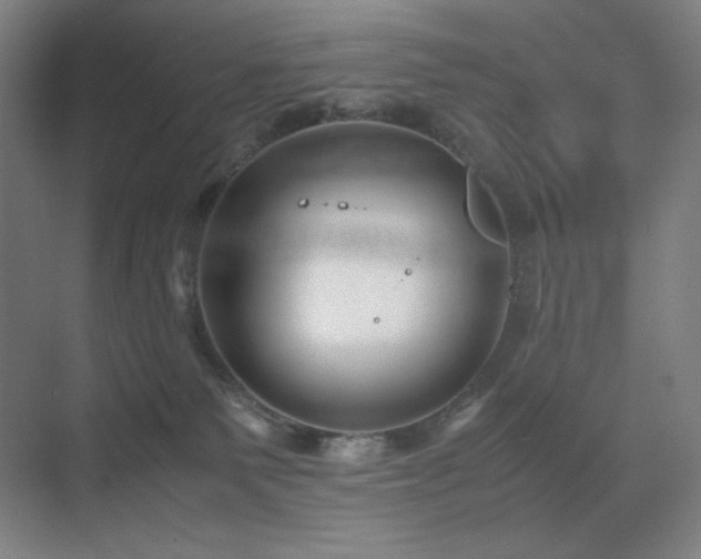 X0000071810135200606301237