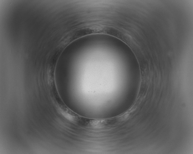 X0000071810136200606301237