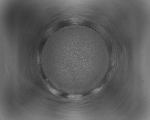 X0000071810137200606301237