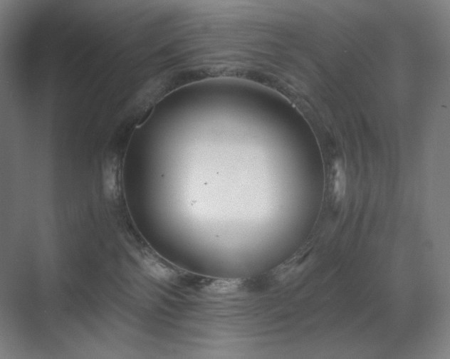 X0000071810138200606301237