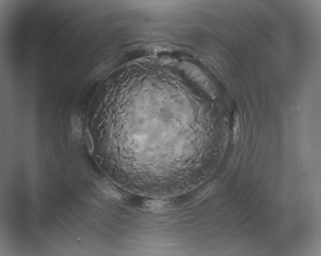 X0000071810139200606301237