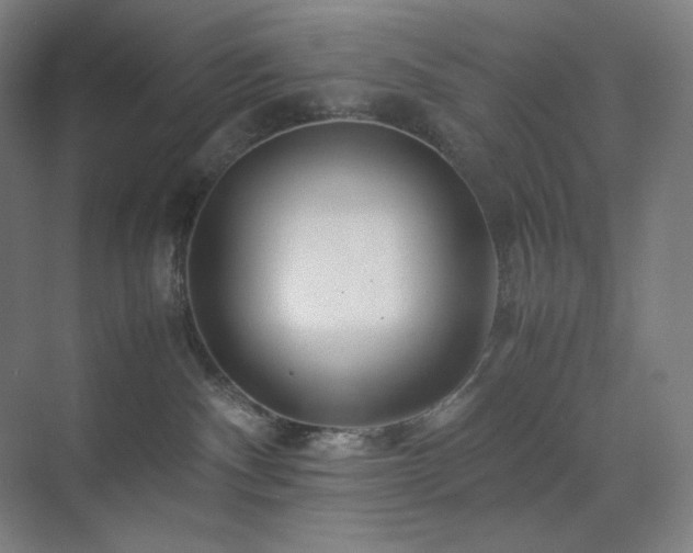 X0000071810140200606301236