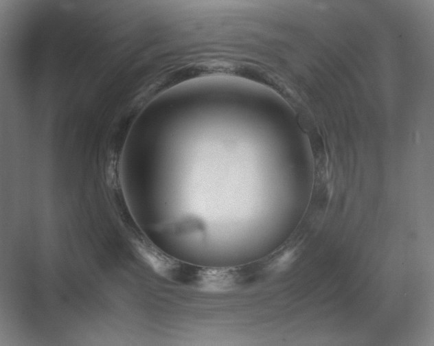 X0000071810141200606301236