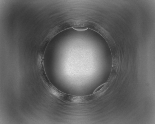 X0000071810142200606301236