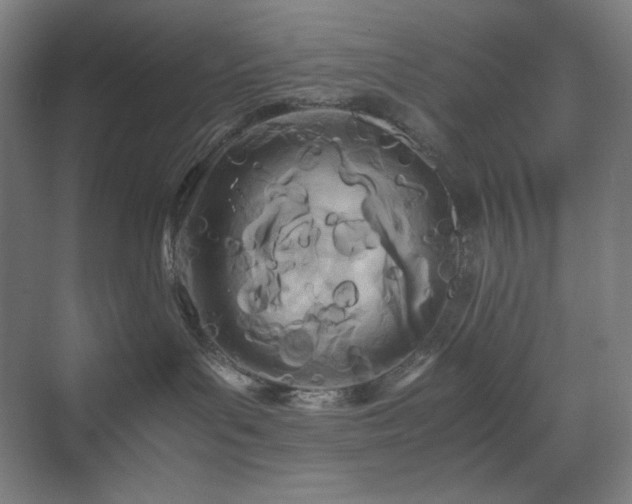 X0000071810143200606301236