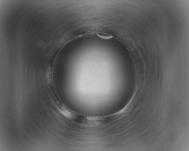 X0000071810144200606301236